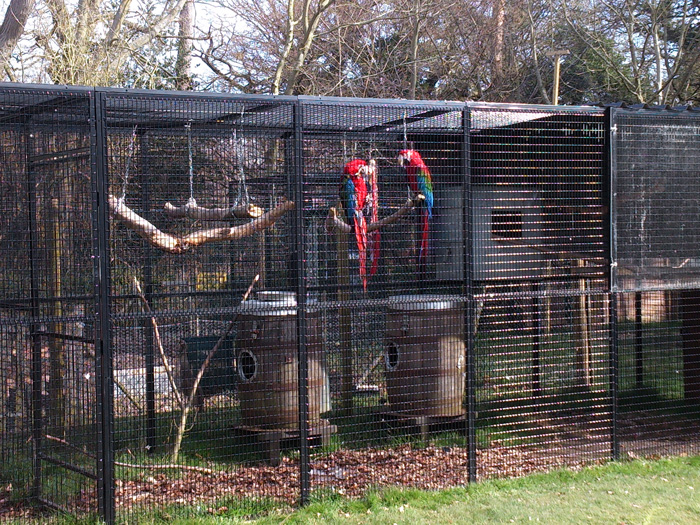 Parrot Cage in Zoo