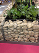 gabion-planter-for-vegetables